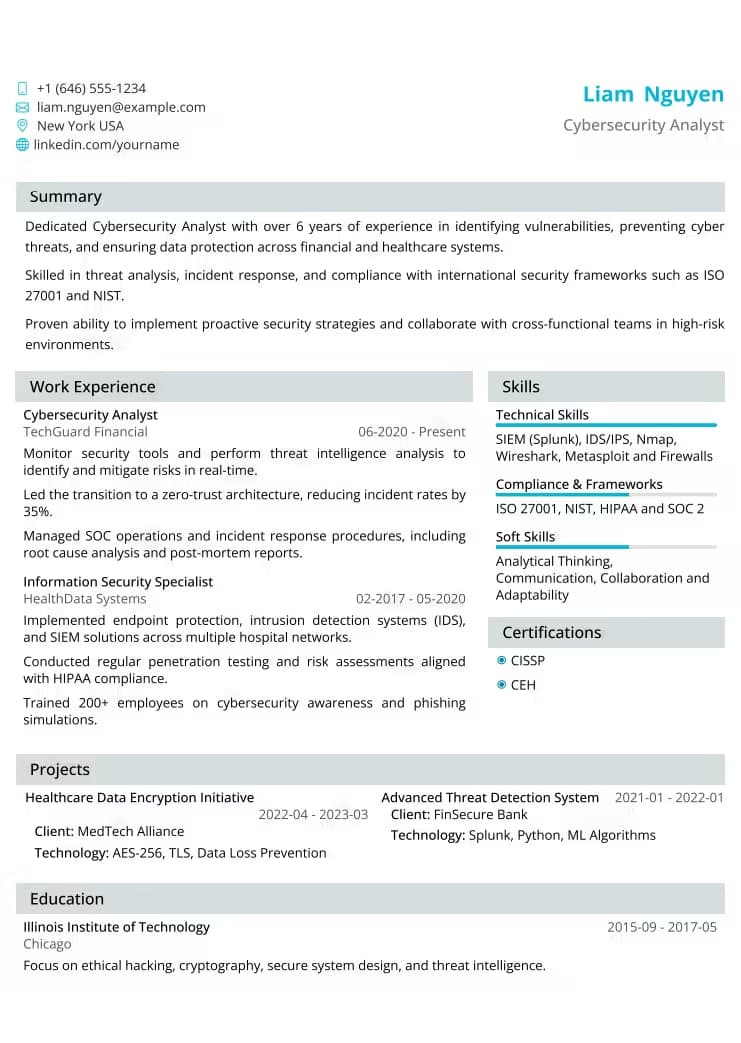Professional Healthcare resume template preview - MyProfileInfo