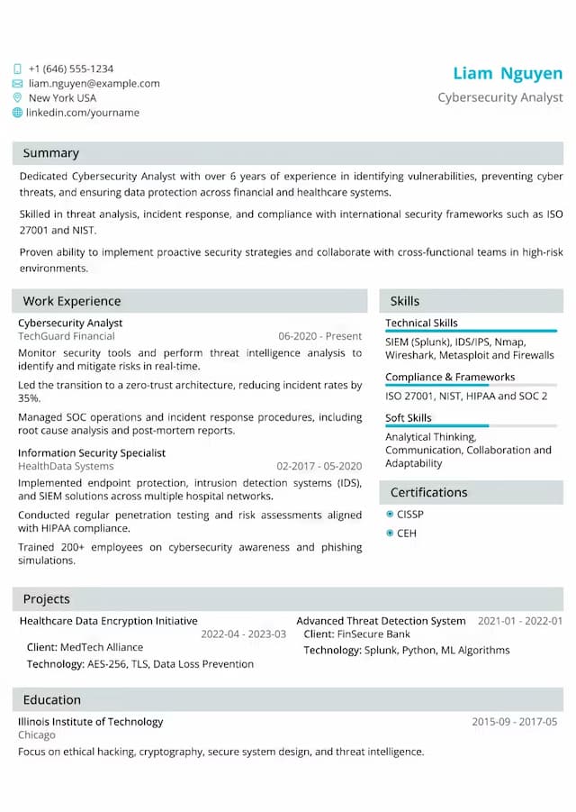 Professional Healthcare resume template