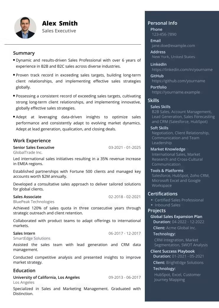 Modern Classic resume template preview - MyProfileInfo